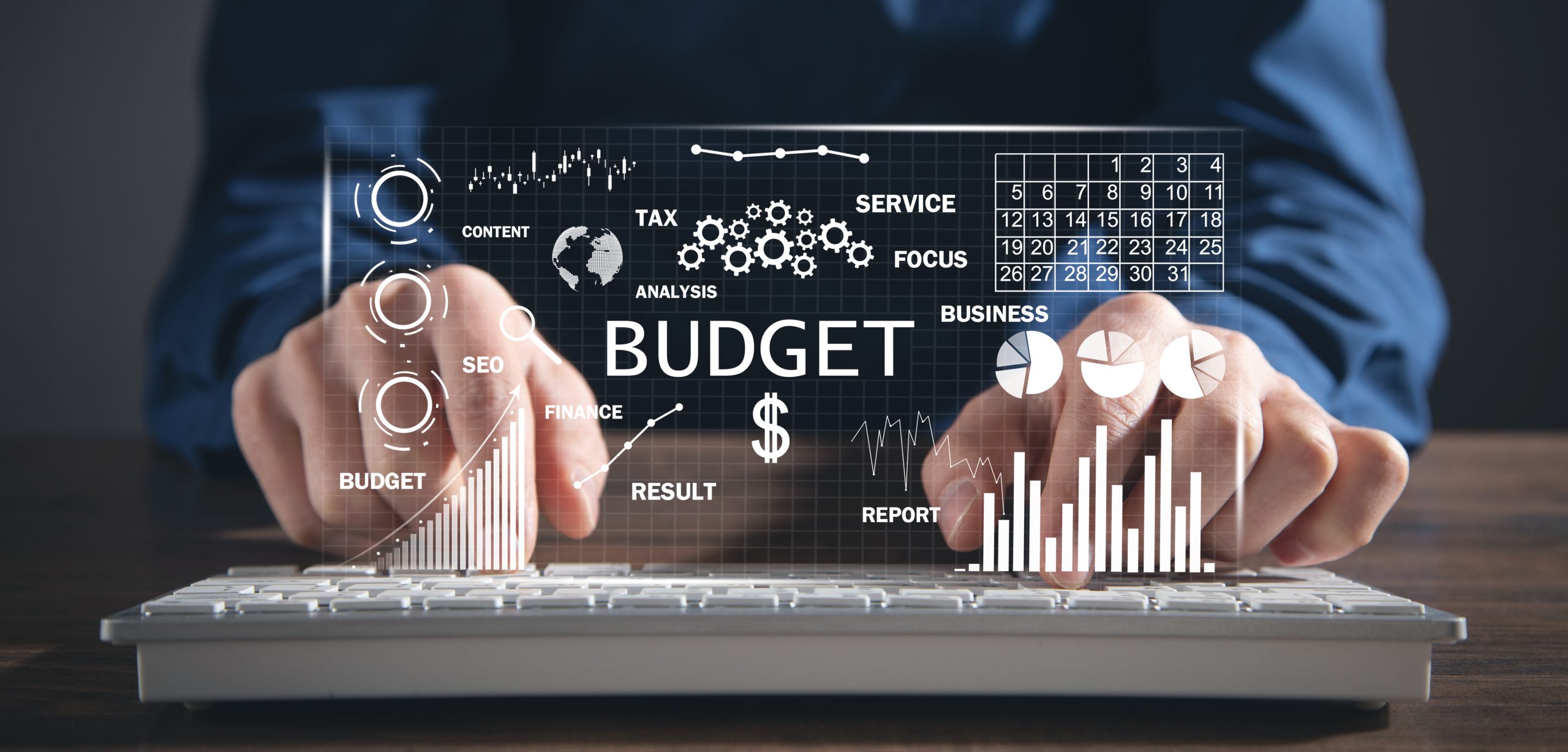 Concept of Budget with a financial graphs. Business. Finance